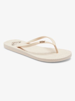 Roxy Antilles Flip Flops | 10843-QIOJ