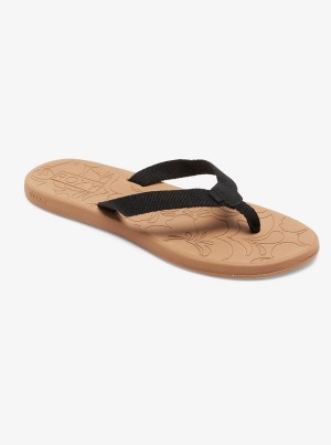 Roxy Colbee Sandals | 54037-EMVO