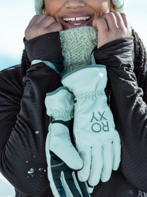 Roxy Freshfield Technicalboard/Ski Gloves | 62538-DVMA