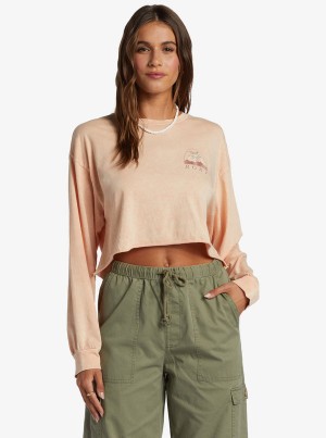 Roxy Palm Arcana Cropped Oversized Long Sleeve Hoodie | 75824-UARD