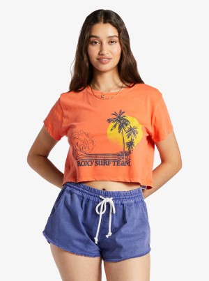 Roxy Retro Surf Team Sleeveless Muscle T-shirts | 81947-RNPF