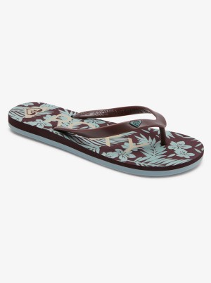 Roxy Tahiti Flip Flops | 21473-YNJK