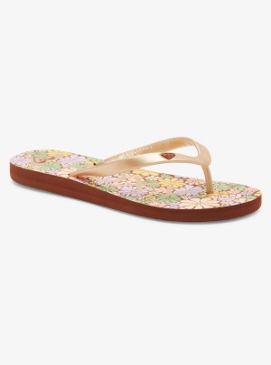 Roxy Tahiti Flip Flops | 87542-LHMW