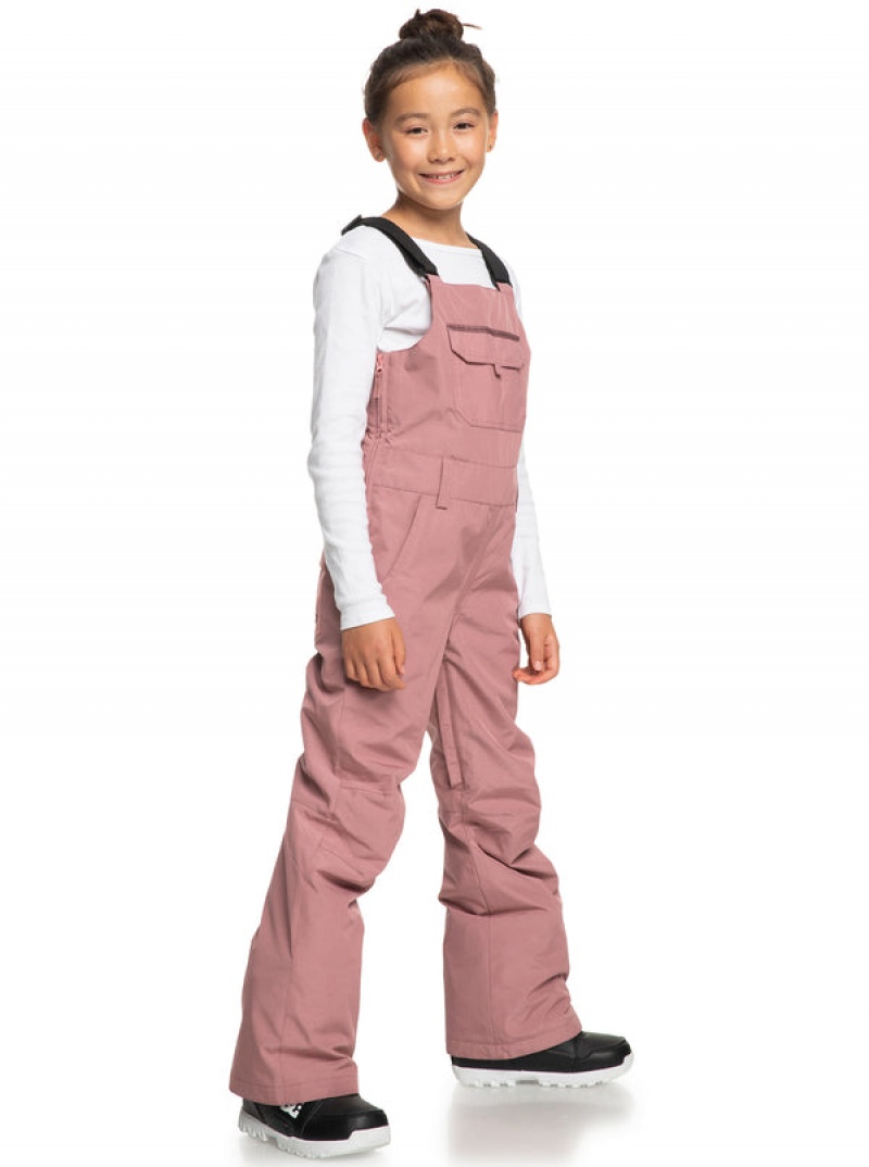 Girls' Roxy Non Stop Technical Bib Snowboard Pants | 31694-PINO