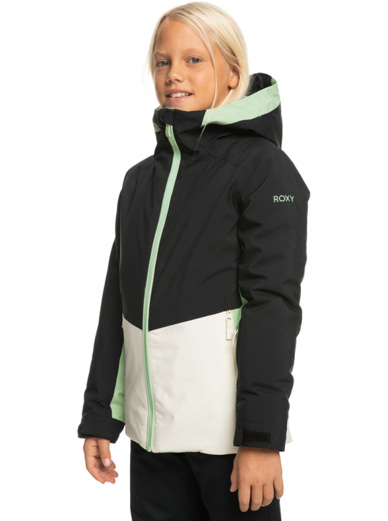 Girls' Roxy Silverwinter Technical Snowboard Jackets | 64305-TIWD