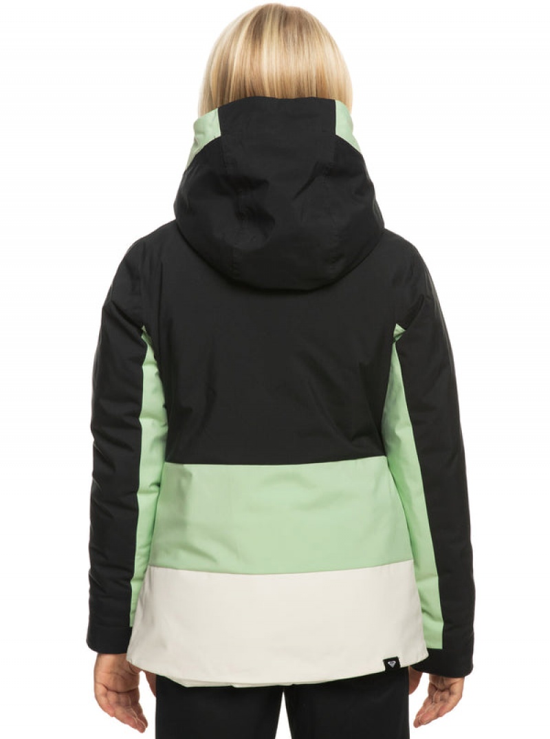 Girls' Roxy Silverwinter Technical Snowboard Jackets | 64305-TIWD