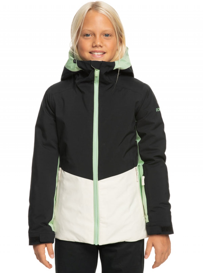 Girls\' Roxy Silverwinter Technical Snowboard Jackets | 64305-TIWD