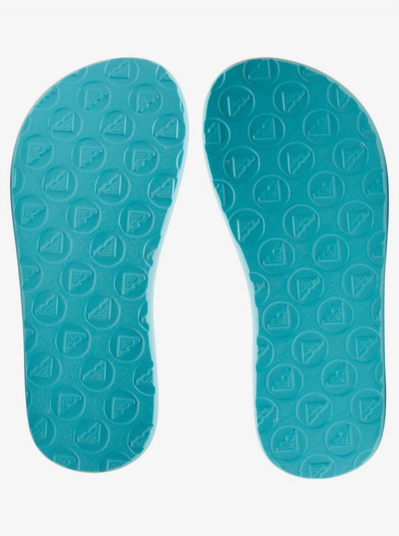 Girls' Roxy Vista Flip Flops | 28159-BNDE