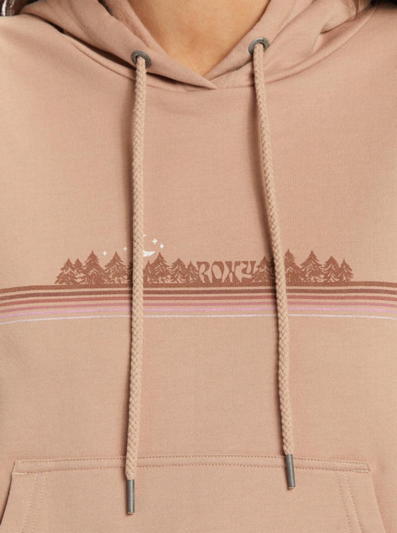 Roxy Afternoon Hike Hoodie | 83179-ASWZ