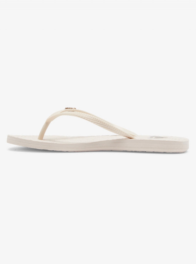 Roxy Antilles Flip Flops | 10843-QIOJ