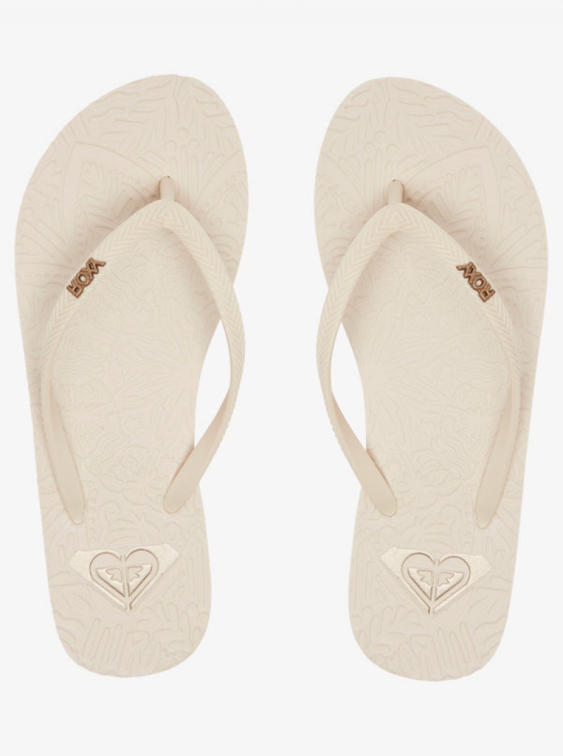 Roxy Antilles Flip Flops | 10843-QIOJ