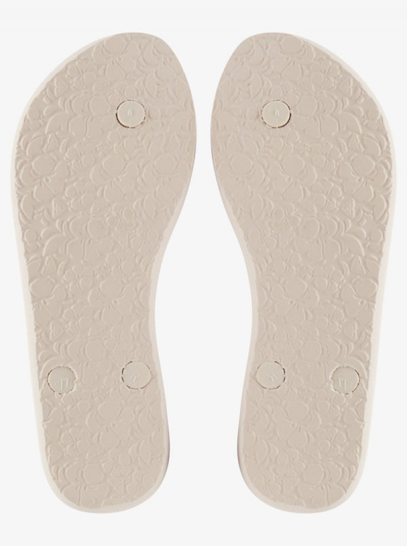 Roxy Antilles Flip Flops | 10843-QIOJ