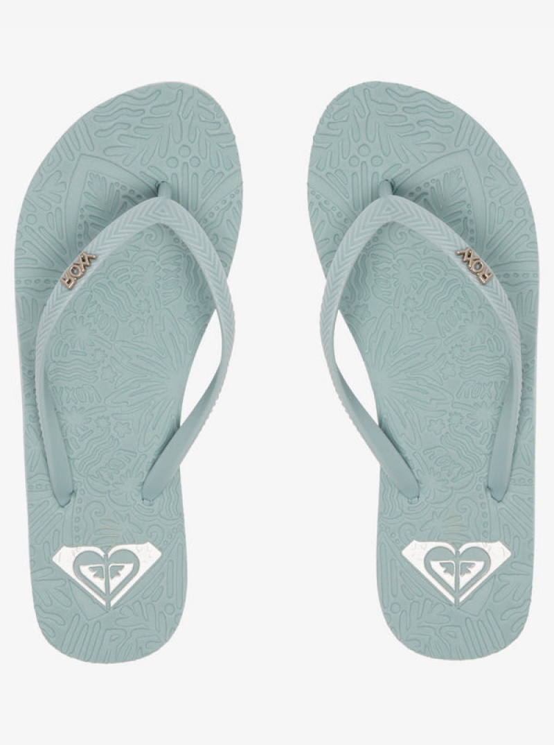 Roxy Antilles Flip Flops | 30427-NQRA