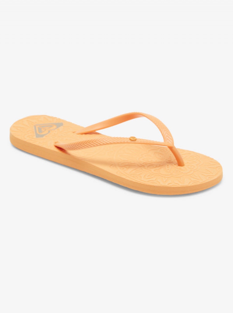 Roxy Antilles Flip Flops | 30879-ZIWK