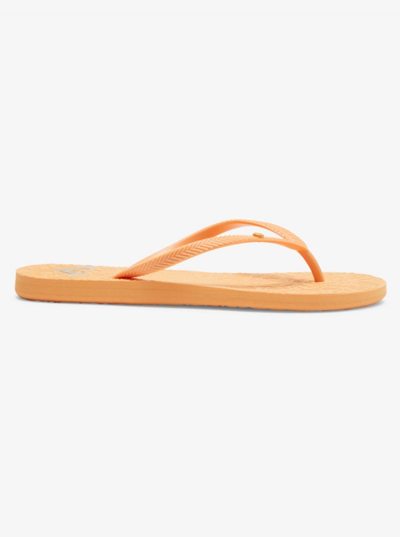 Roxy Antilles Flip Flops | 30879-ZIWK