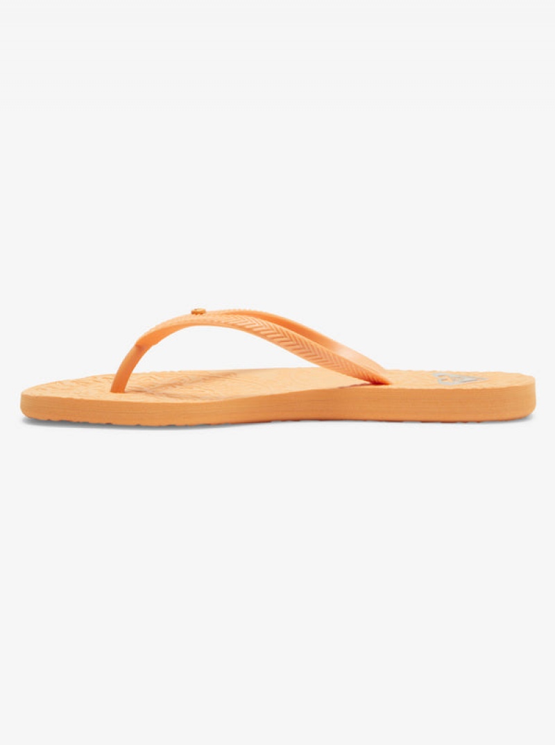 Roxy Antilles Flip Flops | 30879-ZIWK