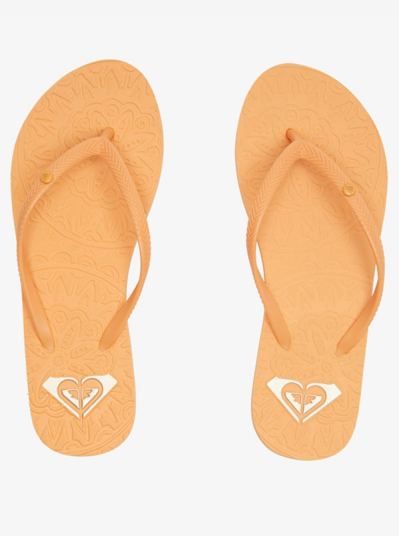 Roxy Antilles Flip Flops | 30879-ZIWK