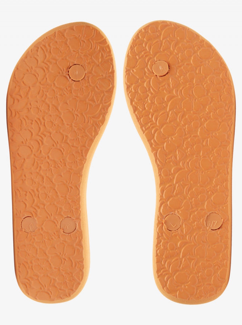 Roxy Antilles Flip Flops | 30879-ZIWK