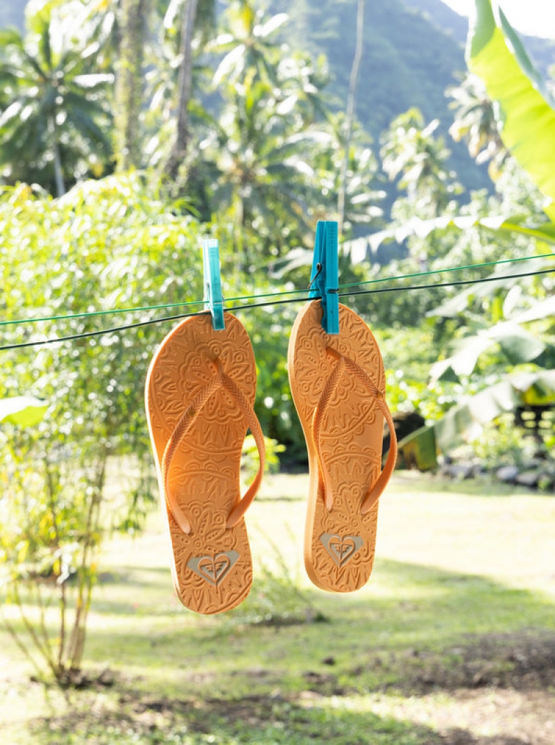 Roxy Antilles Flip Flops | 30879-ZIWK