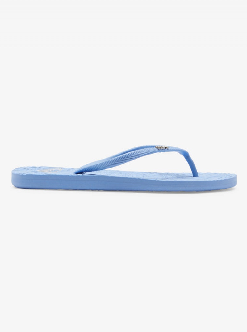 Roxy Antilles Flip Flops | 39472-LYHT