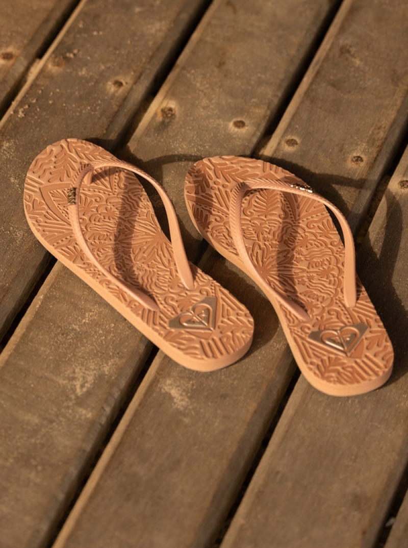 Roxy Antilles Flip Flops | 80571-TSIB