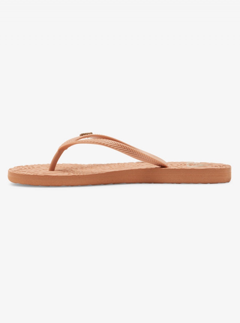 Roxy Antilles Flip Flops | 80571-TSIB