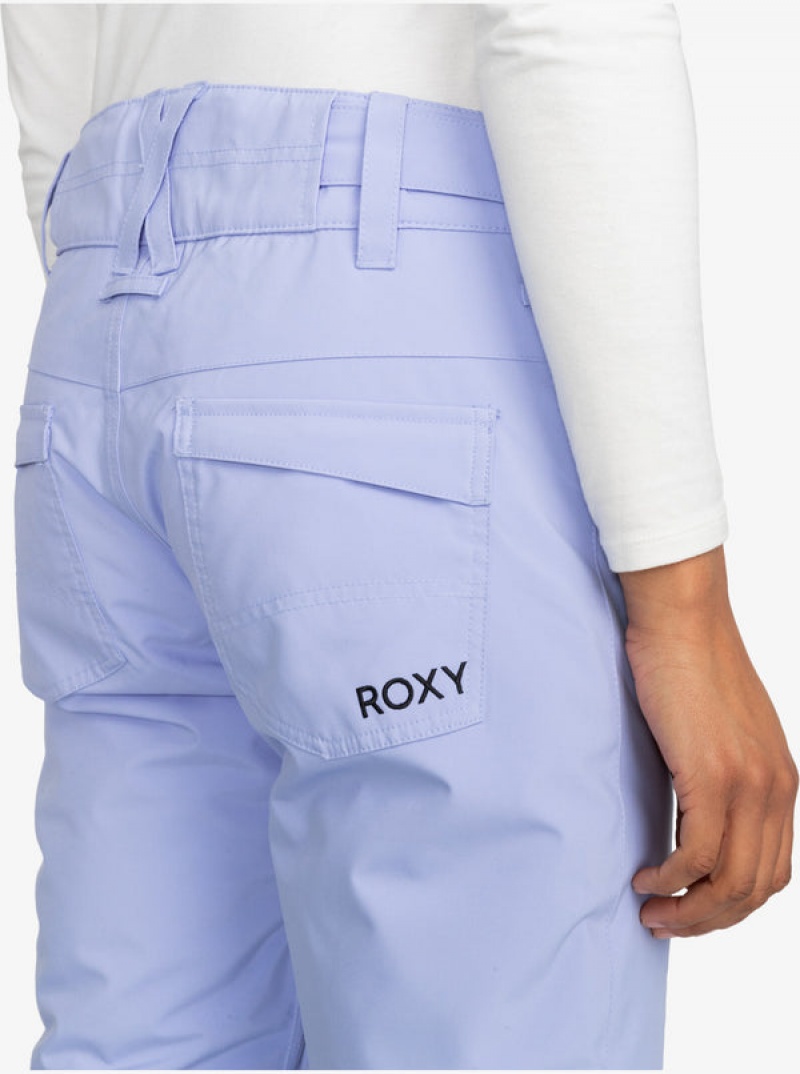 Roxy Backyard Technical Snowboard Pants | 57194-JICK