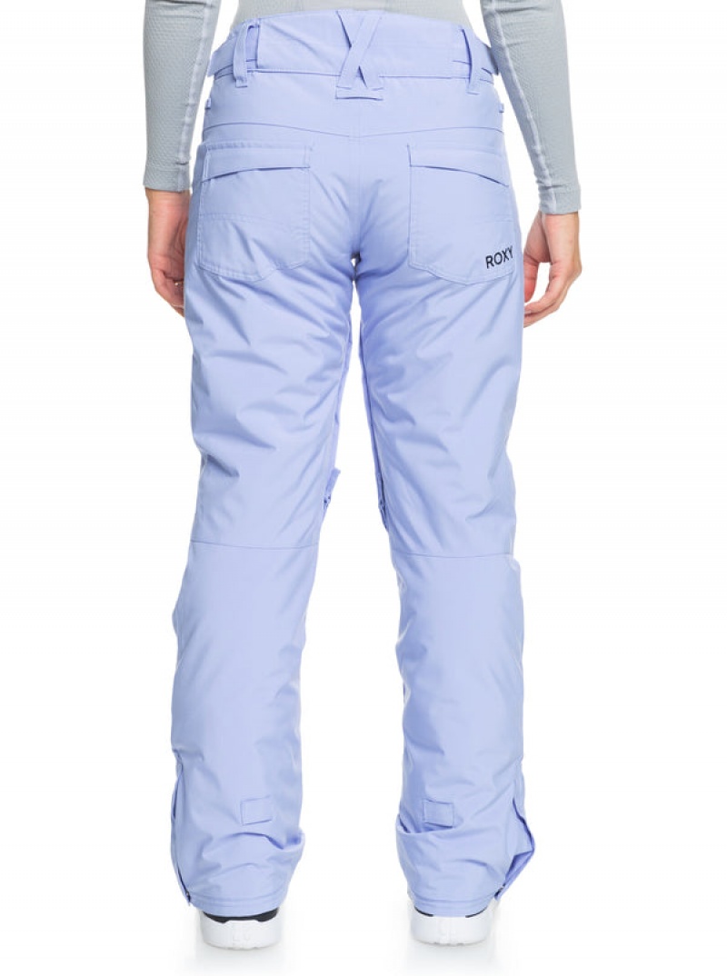 Roxy Backyard Technical Snowboard Pants | 57194-JICK