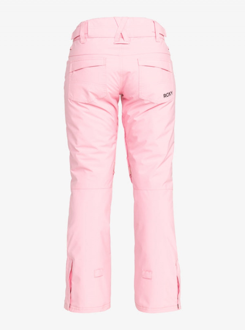 Roxy Backyard Technical Snowboard Pants | 01865-GOAY