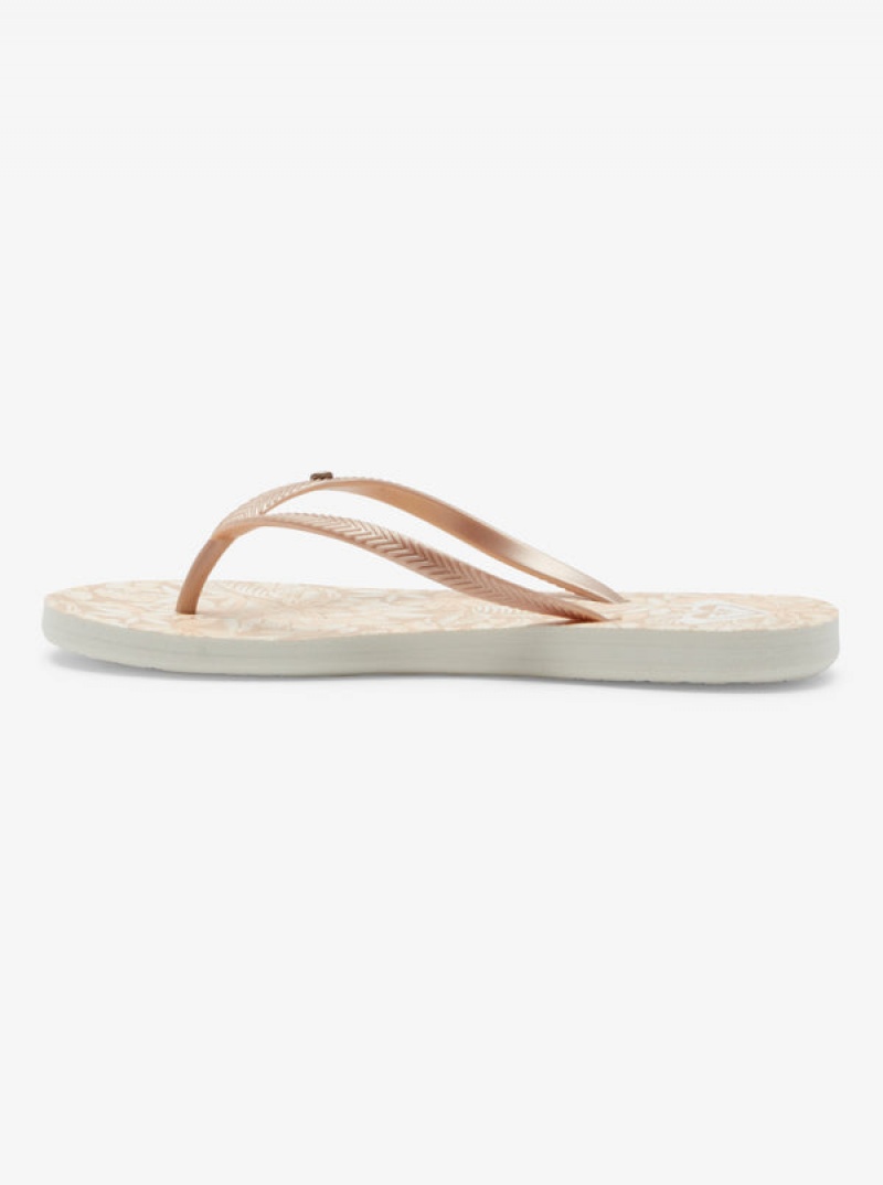 Roxy Bermuda Sandals | 61579-FQYH