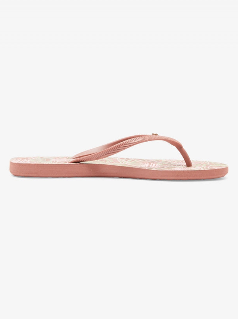 Roxy Bermuda Sandals | 63510-ZQKV