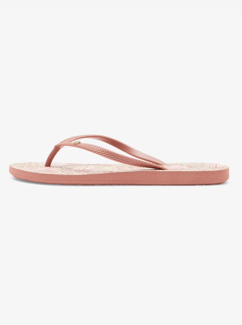 Roxy Bermuda Sandals | 63510-ZQKV