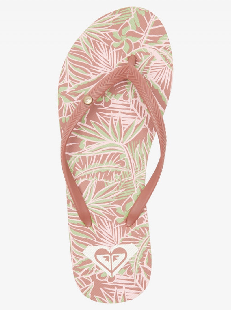 Roxy Bermuda Sandals | 63510-ZQKV