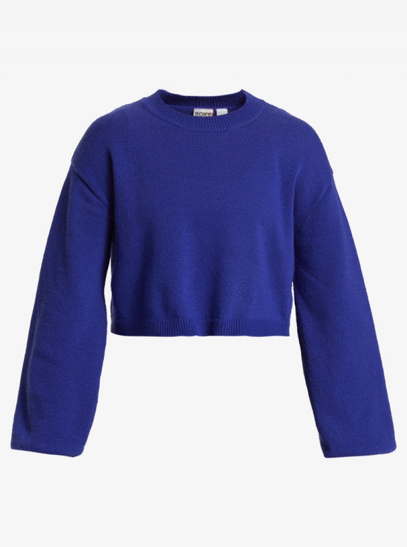 Roxy Chloe Kim Crew Neck Sweaters | 39647-USZE