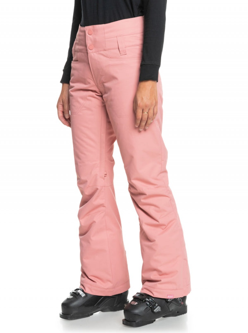 Roxy Diversion Technical Snowboard Pants | 53409-FNIC