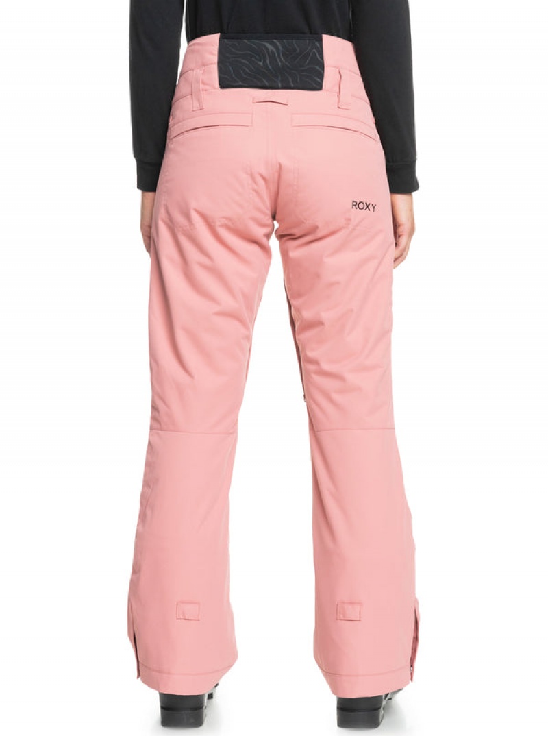 Roxy Diversion Technical Snowboard Pants | 53409-FNIC