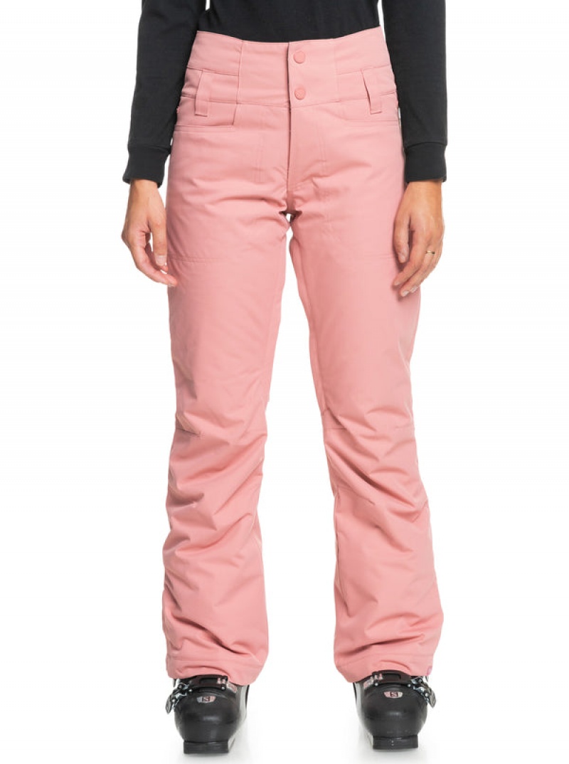 Roxy Diversion Technical Snowboard Pants | 53409-FNIC