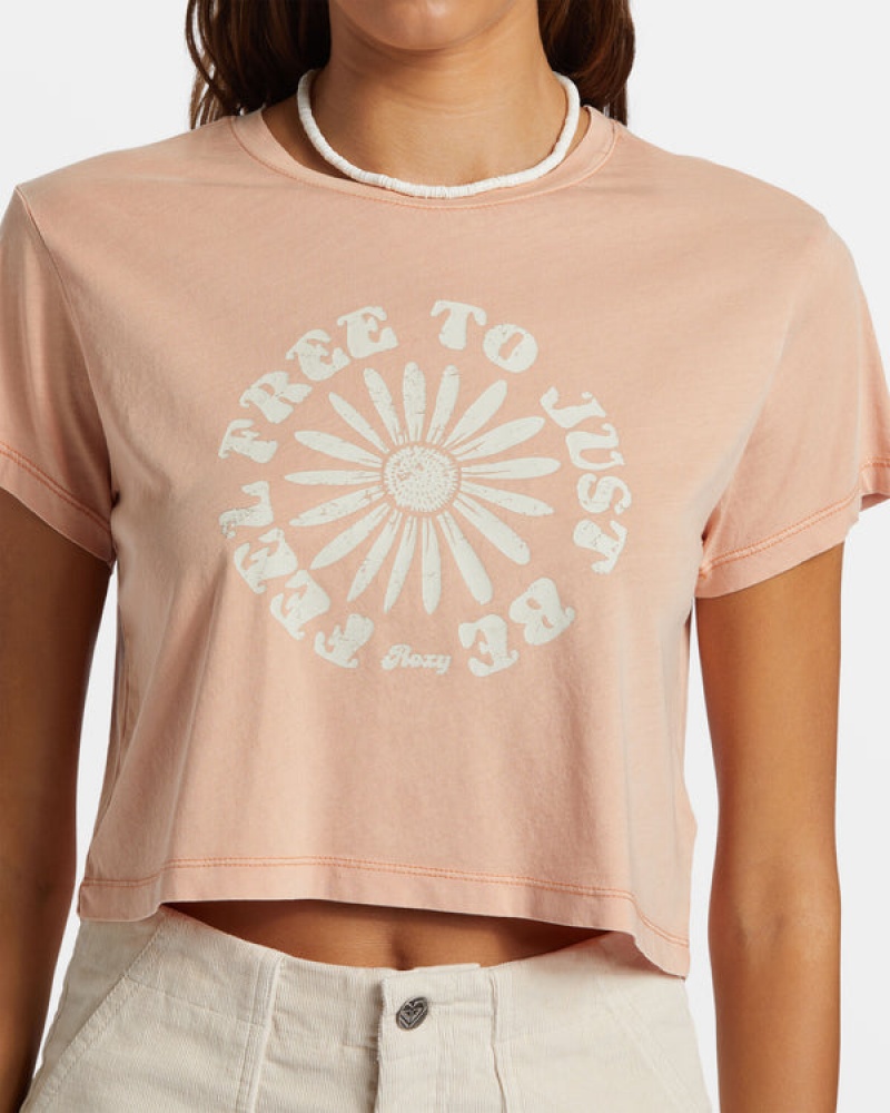 Roxy Feel Free Cropped T-shirts | 91462-EGSK