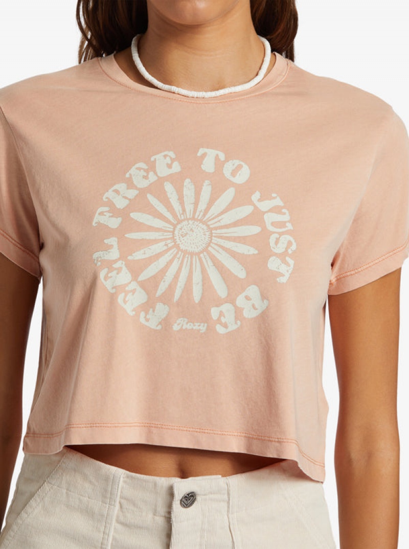 Roxy Feel Free Cropped T-shirts | 91462-EGSK