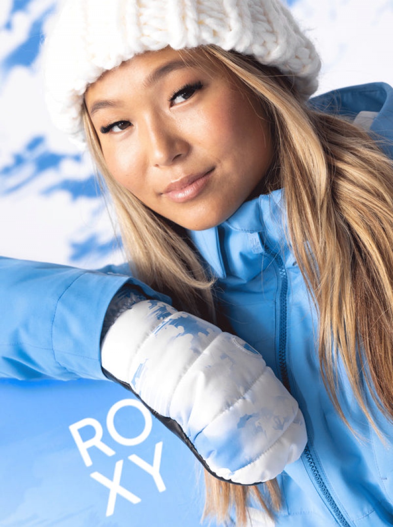 Roxy Flint Creek Technicalboard/Ski Gloves | 84153-GCKX