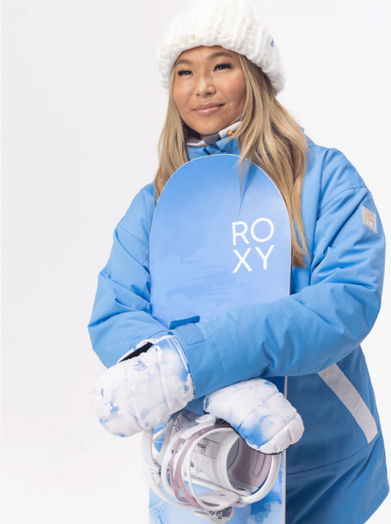 Roxy Flint Creek Technicalboard/Ski Gloves | 84153-GCKX