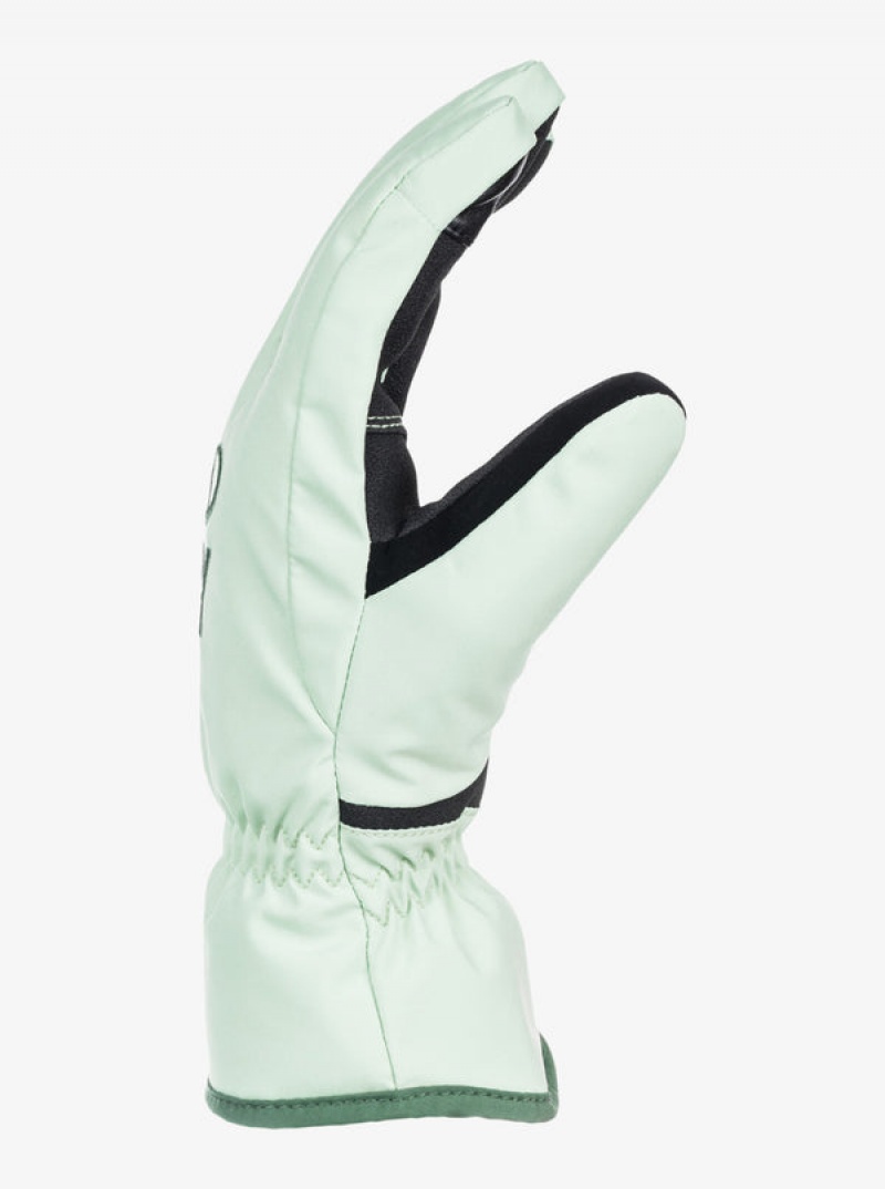 Roxy Freshfield Technicalboard/Ski Gloves | 62538-DVMA