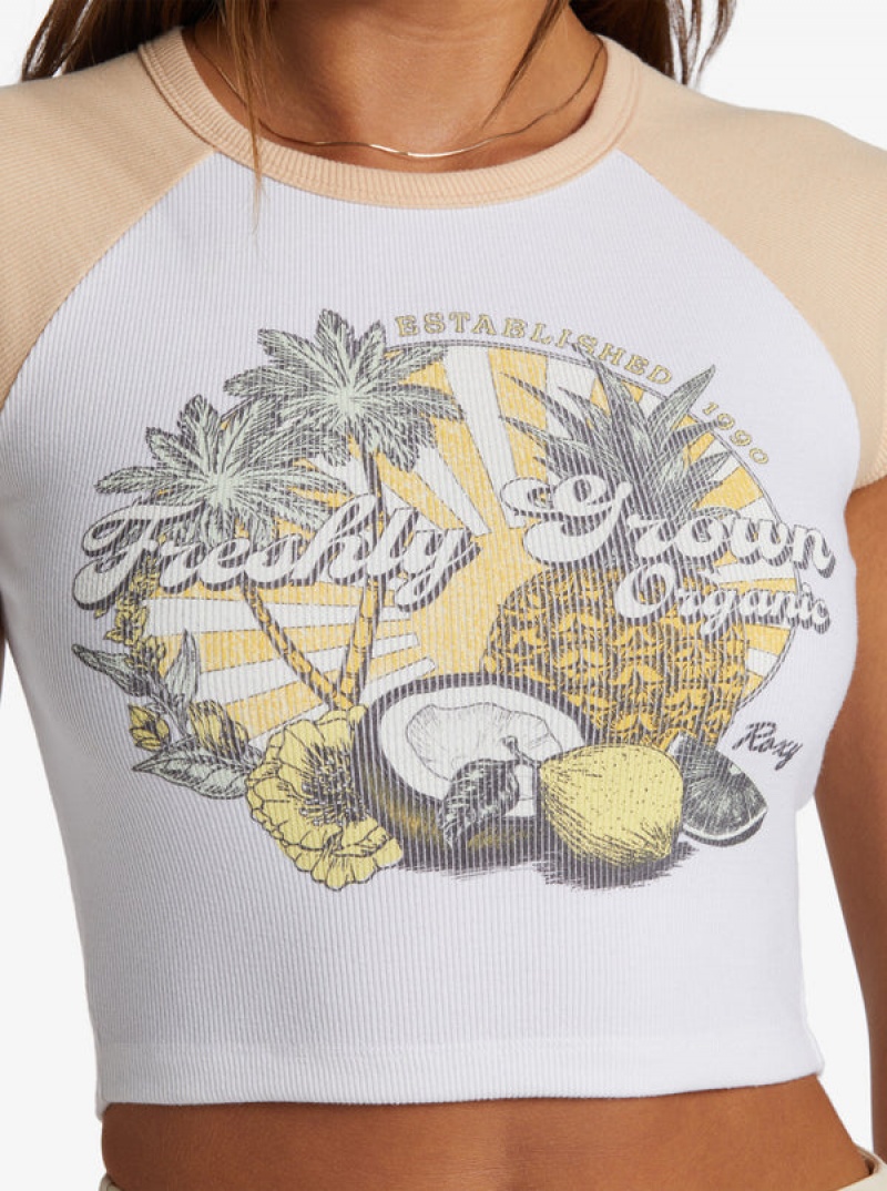 Roxy Freshly Grown Sleeveless Muscle T-shirts | 64305-SGLN