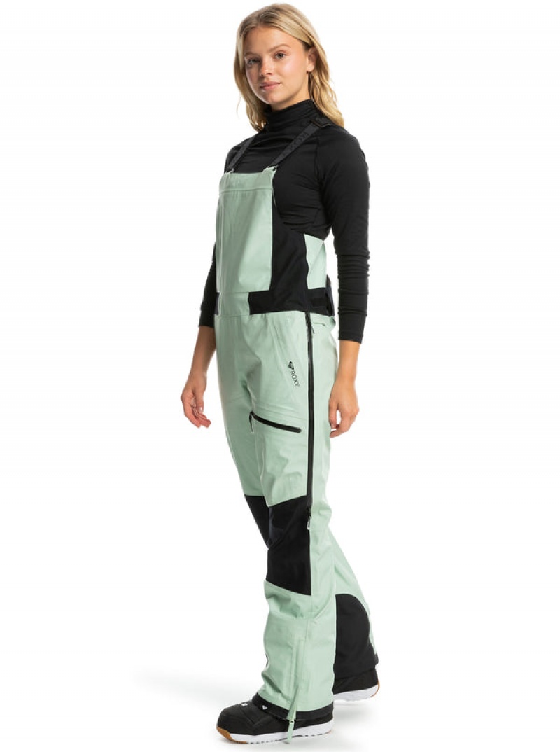 Roxy GORE-TEX® Lunalite 3L Technical Bib Snowboard Pants | 23851-TPMI