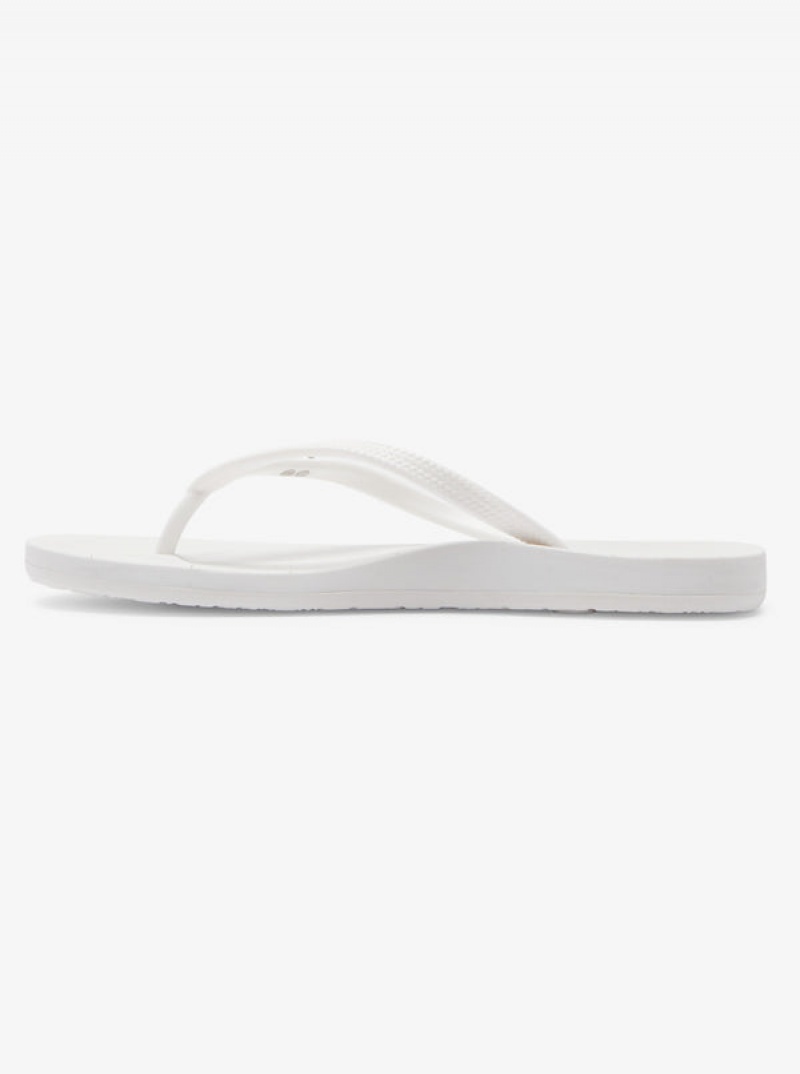 Roxy Jettie Flip Flops | 32695-NXJM