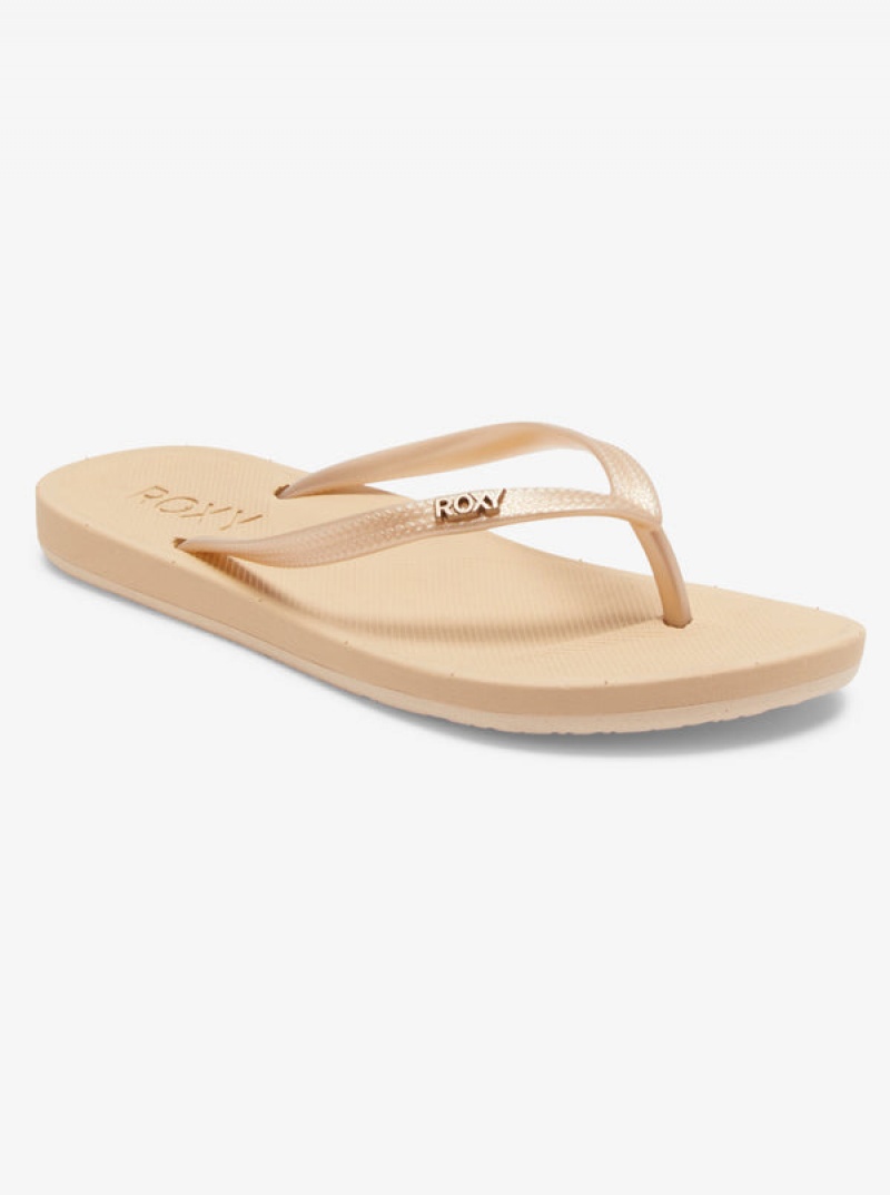 Roxy Jettie Flip Flops | 83506-KJCZ