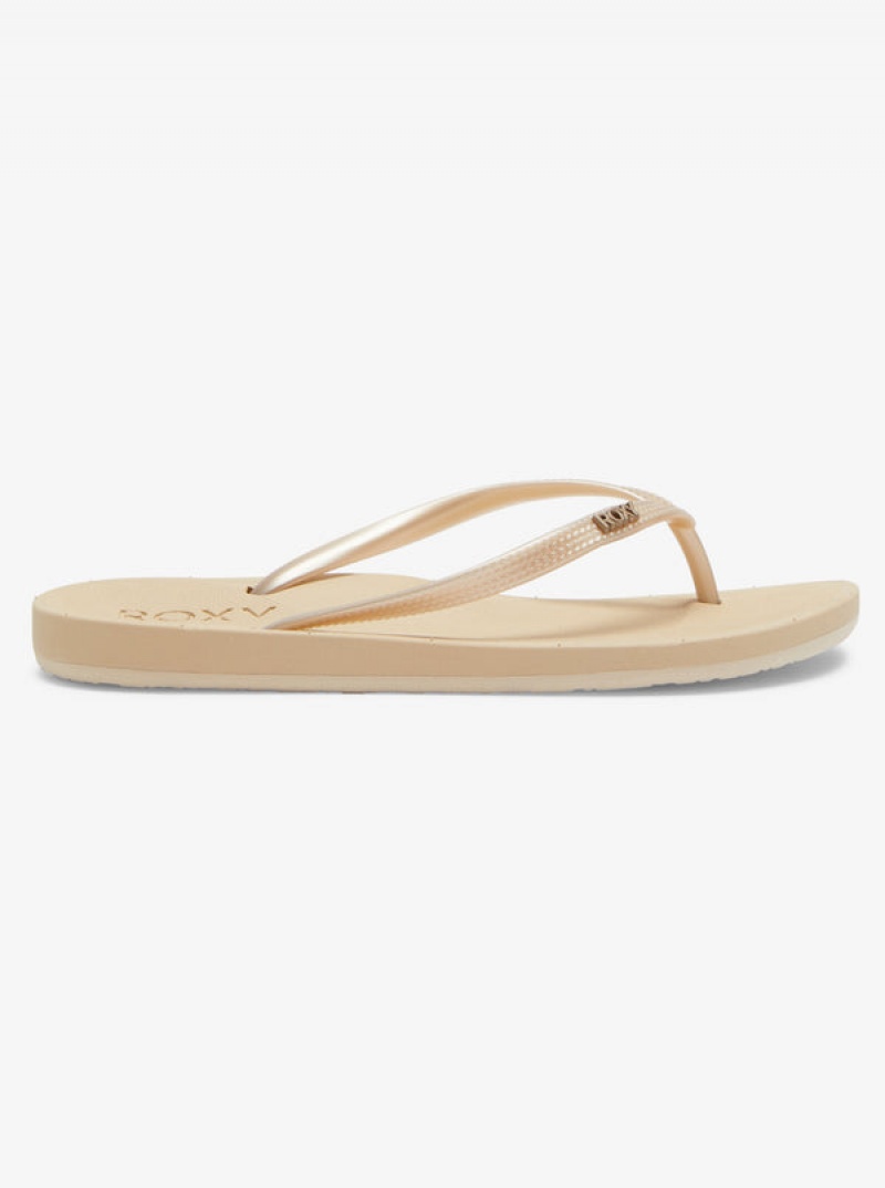 Roxy Jettie Flip Flops | 83506-KJCZ