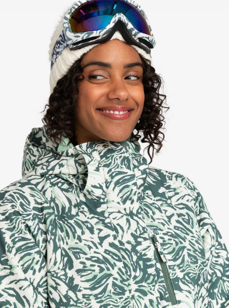 Roxy Jetty Technical Snowboard Jackets | 61958-RPUW