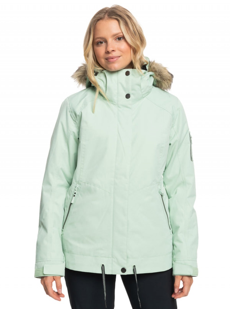 Roxy Meade Technical Snowboard Jackets | 43086-BUNZ