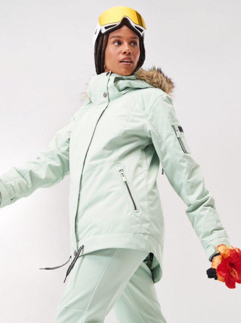 Roxy Meade Technical Snowboard Jackets | 43086-BUNZ